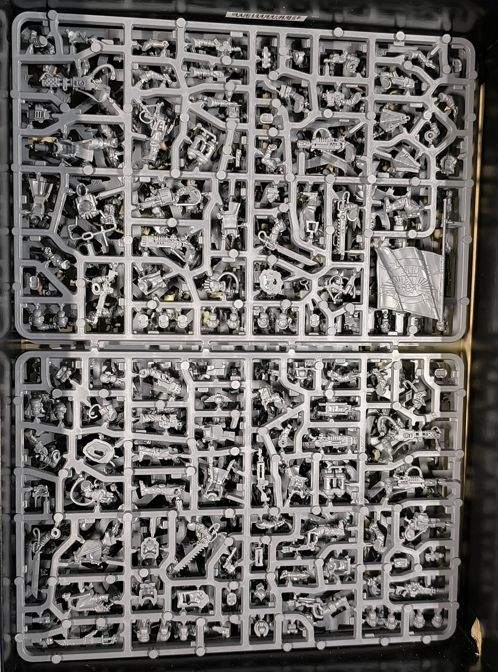 IG: Cadian Command Squad on sprue