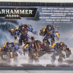 Wolf guard terminators in box