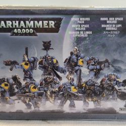 Space wolves pack in box